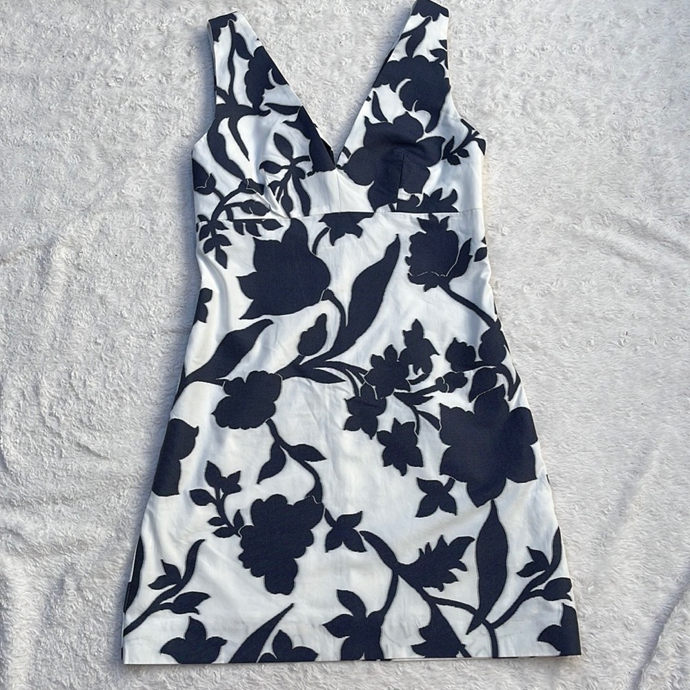 Beautiful Milly Dress
